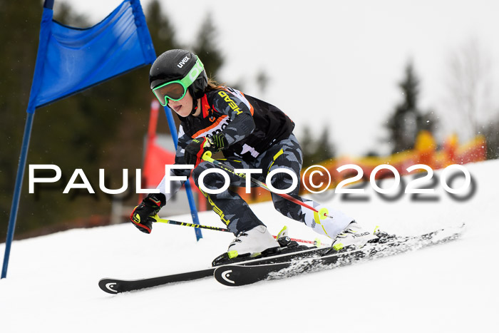 7.  Zienercup + Werdenfelser Meisterschaft 23.02.2020