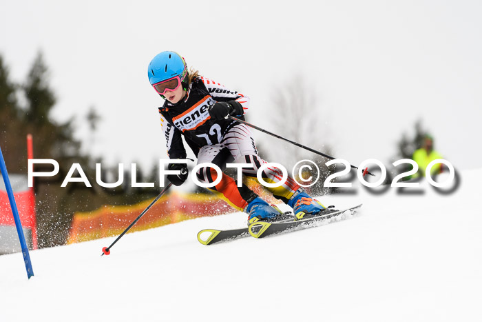 7.  Zienercup + Werdenfelser Meisterschaft 23.02.2020