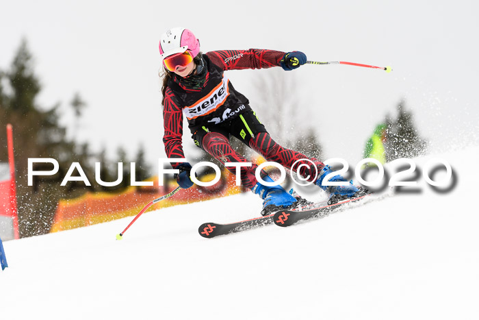 7.  Zienercup + Werdenfelser Meisterschaft 23.02.2020