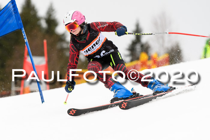 7.  Zienercup + Werdenfelser Meisterschaft 23.02.2020