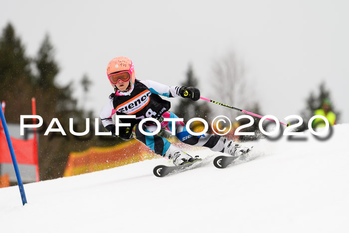 7.  Zienercup + Werdenfelser Meisterschaft 23.02.2020