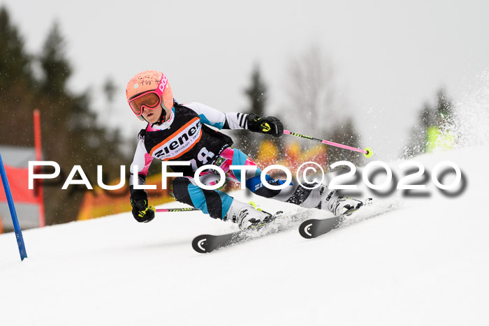 7.  Zienercup + Werdenfelser Meisterschaft 23.02.2020