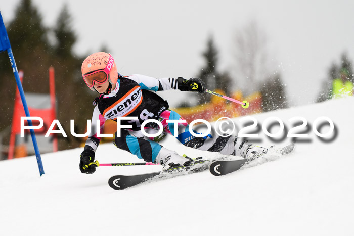 7.  Zienercup + Werdenfelser Meisterschaft 23.02.2020