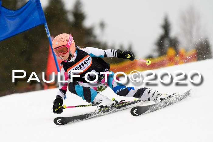 7.  Zienercup + Werdenfelser Meisterschaft 23.02.2020