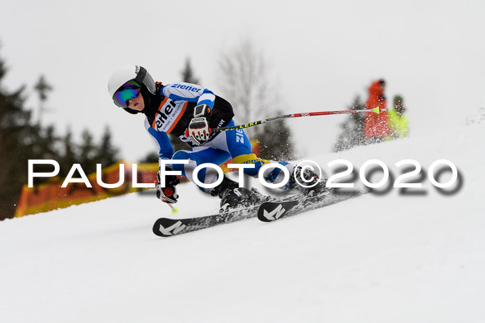 7.  Zienercup + Werdenfelser Meisterschaft 23.02.2020