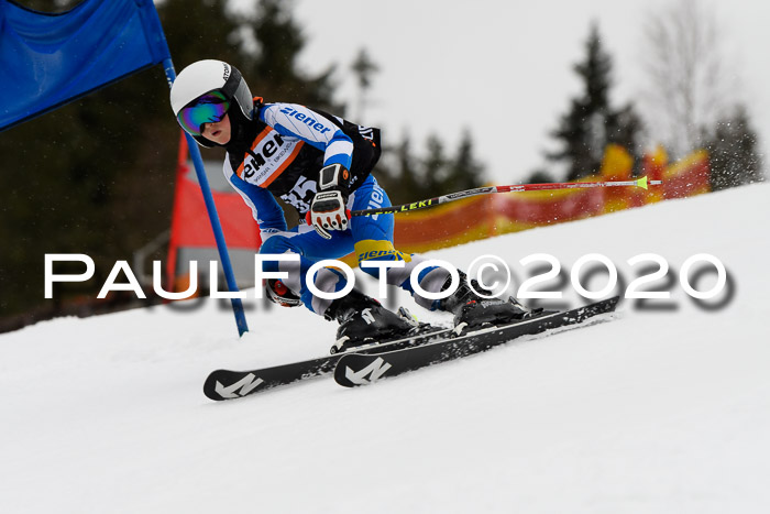 7.  Zienercup + Werdenfelser Meisterschaft 23.02.2020