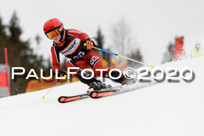 7.  Zienercup + Werdenfelser Meisterschaft 23.02.2020