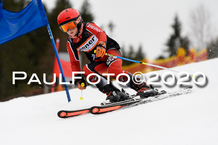 7.  Zienercup + Werdenfelser Meisterschaft 23.02.2020