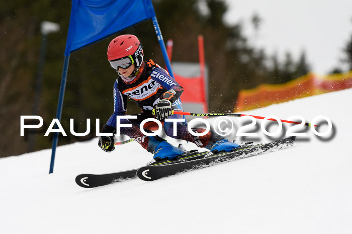 7.  Zienercup + Werdenfelser Meisterschaft 23.02.2020