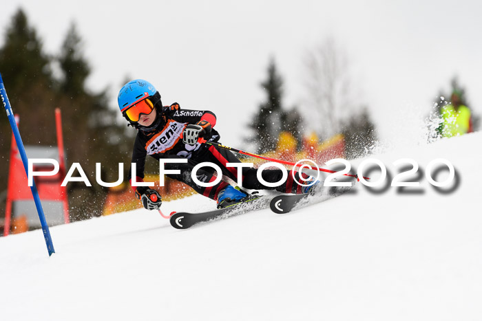 7.  Zienercup + Werdenfelser Meisterschaft 23.02.2020