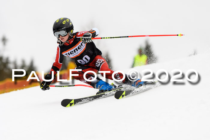 7.  Zienercup + Werdenfelser Meisterschaft 23.02.2020