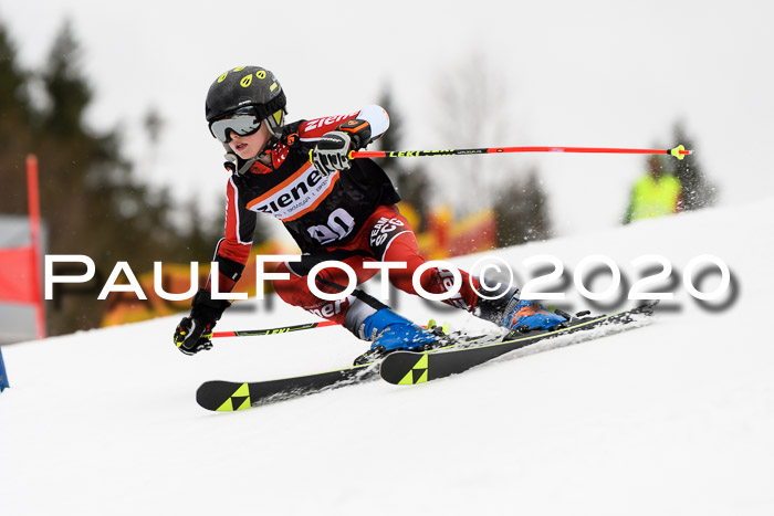 7.  Zienercup + Werdenfelser Meisterschaft 23.02.2020