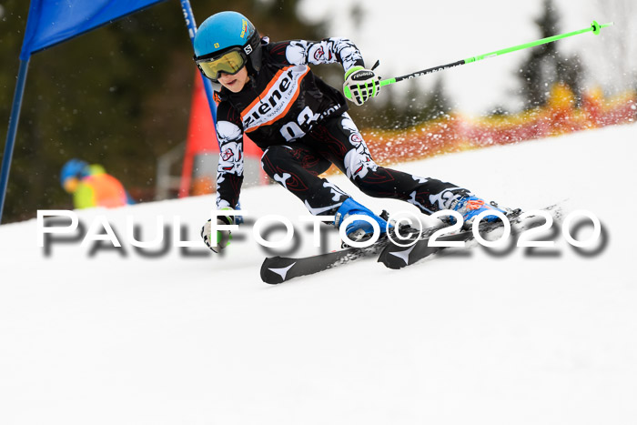 7.  Zienercup + Werdenfelser Meisterschaft 23.02.2020