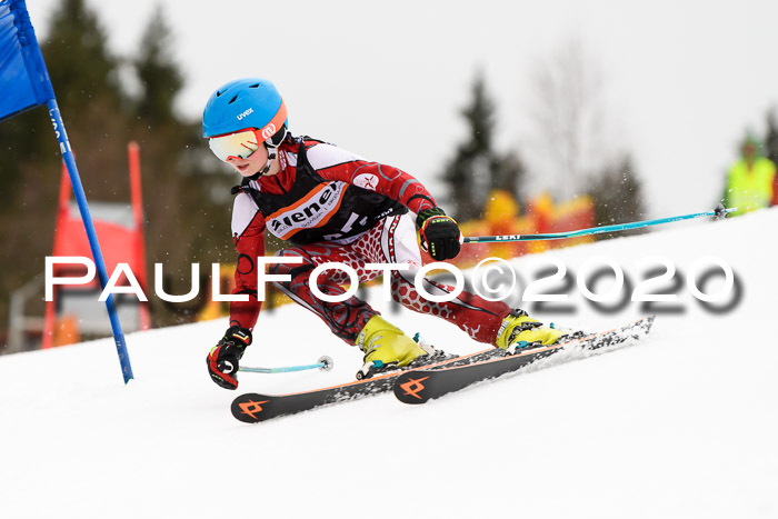 7.  Zienercup + Werdenfelser Meisterschaft 23.02.2020