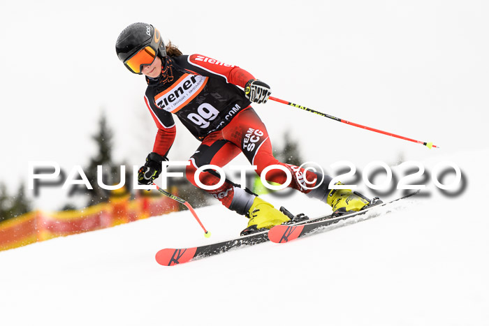 7.  Zienercup + Werdenfelser Meisterschaft 23.02.2020