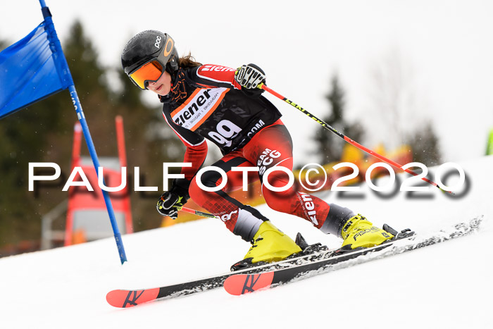 7.  Zienercup + Werdenfelser Meisterschaft 23.02.2020