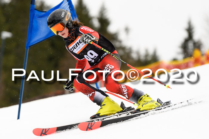7.  Zienercup + Werdenfelser Meisterschaft 23.02.2020