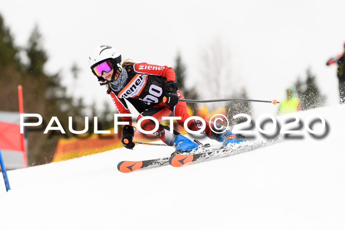 7.  Zienercup + Werdenfelser Meisterschaft 23.02.2020