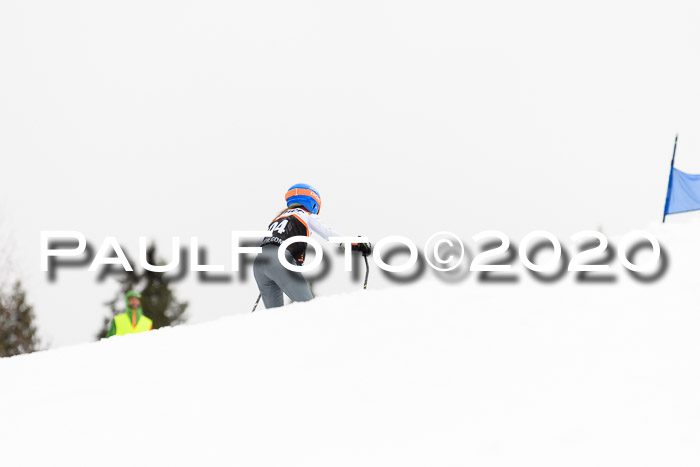 7.  Zienercup + Werdenfelser Meisterschaft 23.02.2020