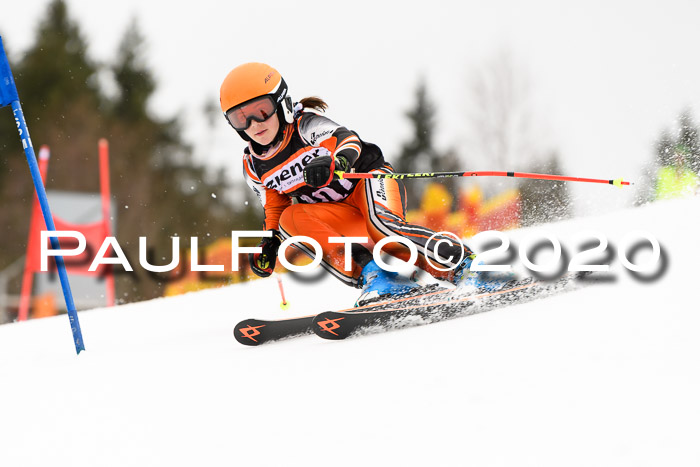 7.  Zienercup + Werdenfelser Meisterschaft 23.02.2020