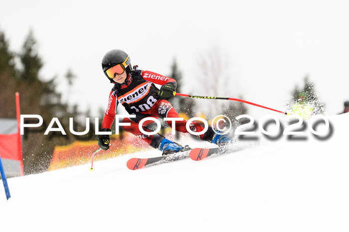 7.  Zienercup + Werdenfelser Meisterschaft 23.02.2020