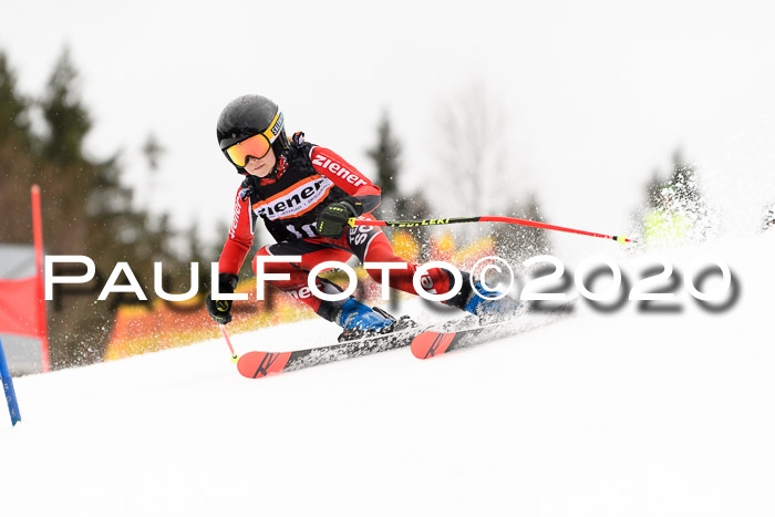 7.  Zienercup + Werdenfelser Meisterschaft 23.02.2020