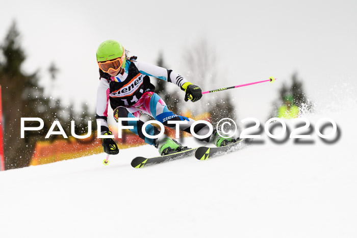 7.  Zienercup + Werdenfelser Meisterschaft 23.02.2020