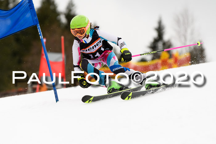 7.  Zienercup + Werdenfelser Meisterschaft 23.02.2020