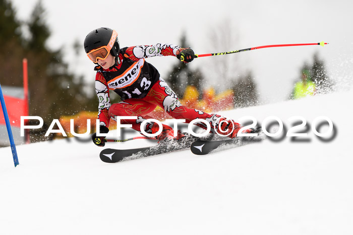 7.  Zienercup + Werdenfelser Meisterschaft 23.02.2020