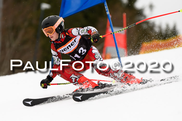 7.  Zienercup + Werdenfelser Meisterschaft 23.02.2020