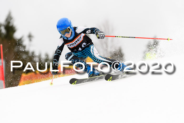 7.  Zienercup + Werdenfelser Meisterschaft 23.02.2020
