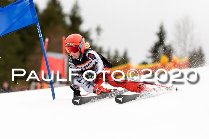 7.  Zienercup + Werdenfelser Meisterschaft 23.02.2020