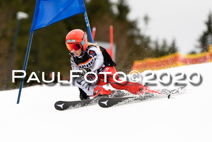 7.  Zienercup + Werdenfelser Meisterschaft 23.02.2020