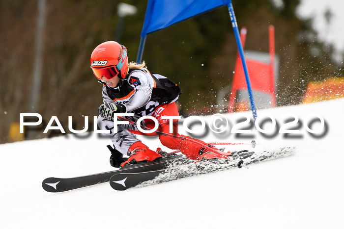 7.  Zienercup + Werdenfelser Meisterschaft 23.02.2020