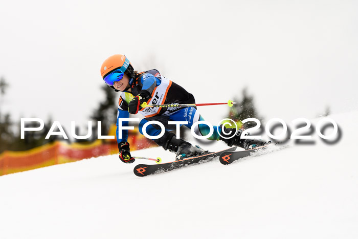 7.  Zienercup + Werdenfelser Meisterschaft 23.02.2020