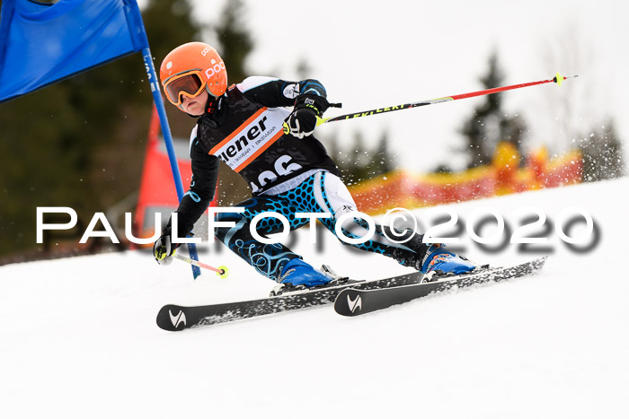 7.  Zienercup + Werdenfelser Meisterschaft 23.02.2020