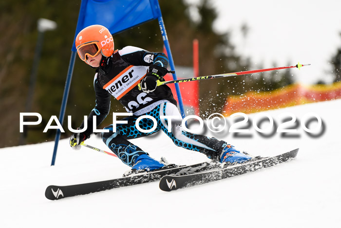 7.  Zienercup + Werdenfelser Meisterschaft 23.02.2020