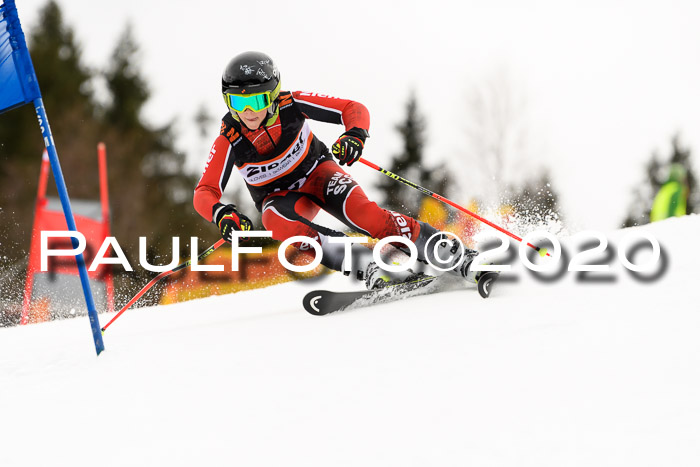 7.  Zienercup + Werdenfelser Meisterschaft 23.02.2020