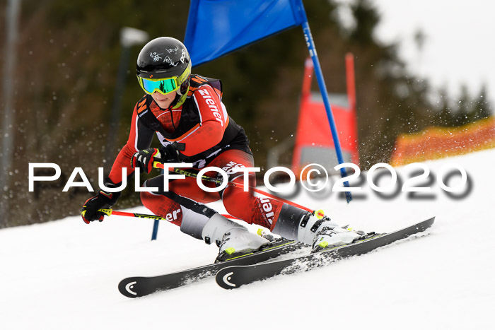 7.  Zienercup + Werdenfelser Meisterschaft 23.02.2020