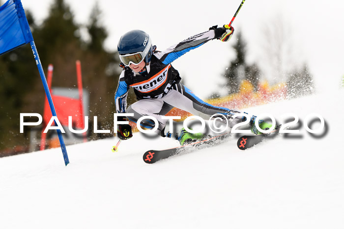 7.  Zienercup + Werdenfelser Meisterschaft 23.02.2020