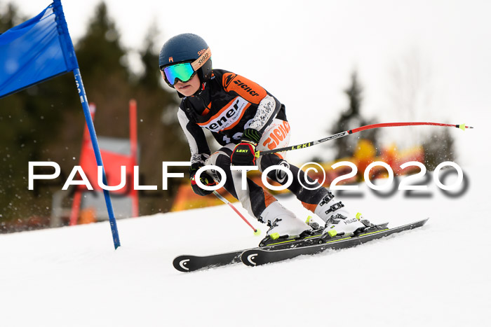 7.  Zienercup + Werdenfelser Meisterschaft 23.02.2020