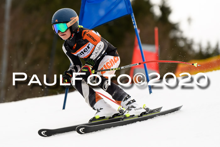 7.  Zienercup + Werdenfelser Meisterschaft 23.02.2020