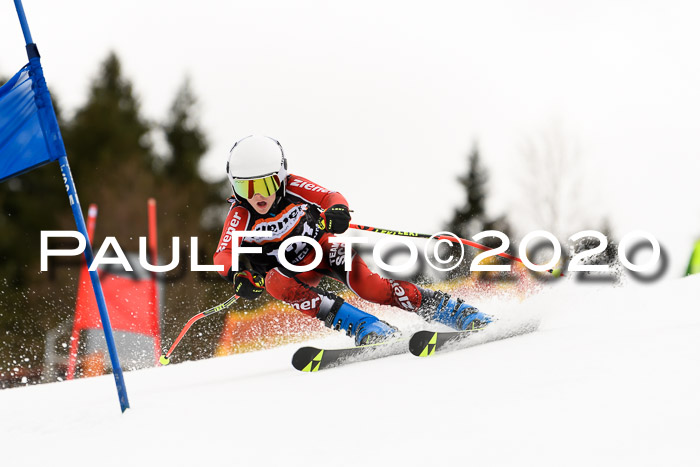7.  Zienercup + Werdenfelser Meisterschaft 23.02.2020