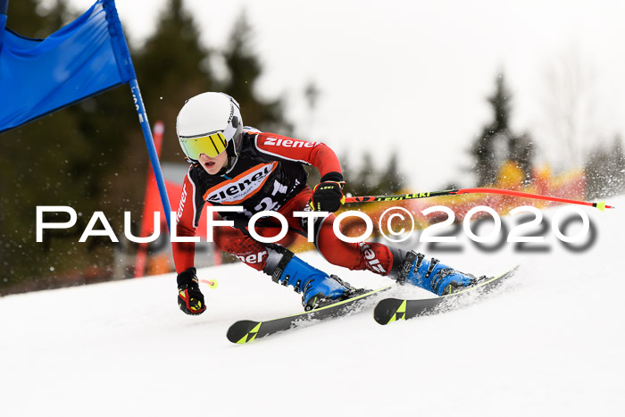 7.  Zienercup + Werdenfelser Meisterschaft 23.02.2020