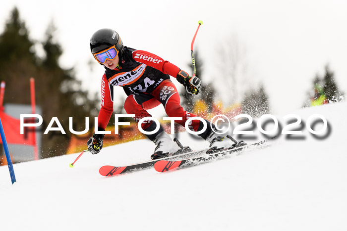 7.  Zienercup + Werdenfelser Meisterschaft 23.02.2020