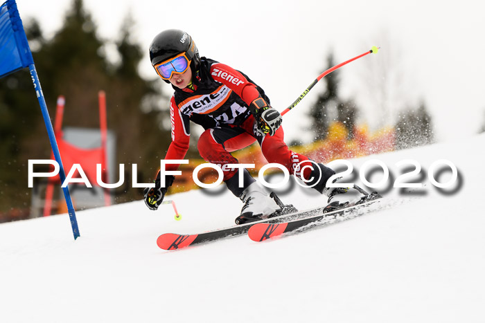 7.  Zienercup + Werdenfelser Meisterschaft 23.02.2020