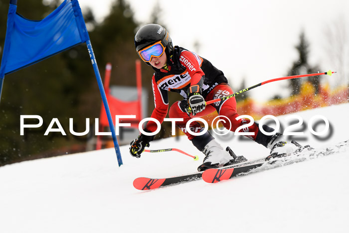 7.  Zienercup + Werdenfelser Meisterschaft 23.02.2020