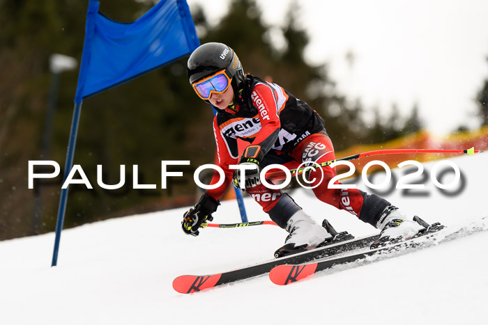 7.  Zienercup + Werdenfelser Meisterschaft 23.02.2020