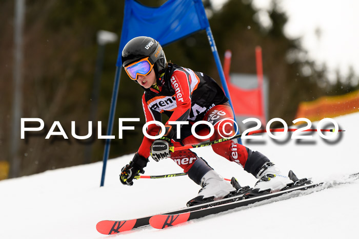 7.  Zienercup + Werdenfelser Meisterschaft 23.02.2020
