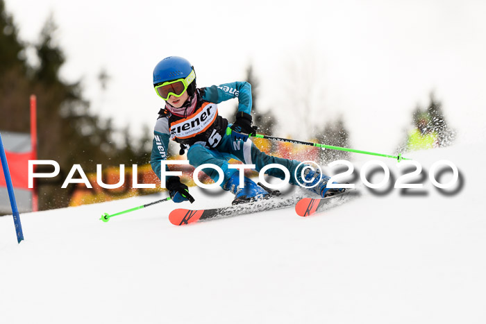 7.  Zienercup + Werdenfelser Meisterschaft 23.02.2020